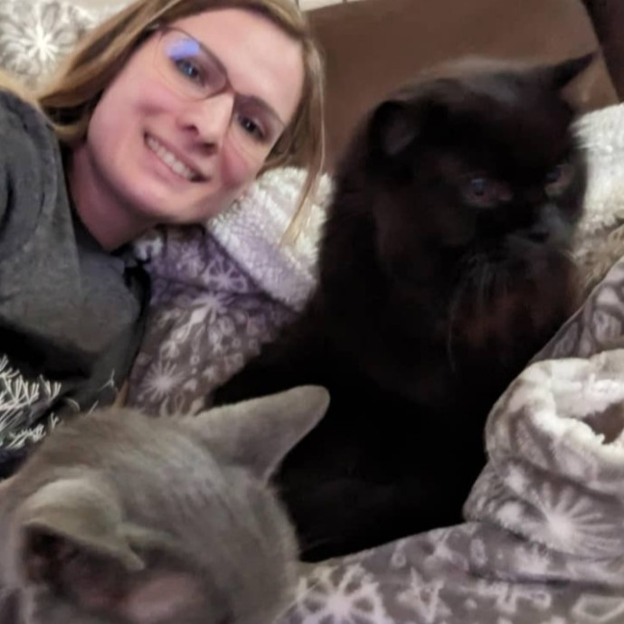 An Honest And Reliable Cat Lover