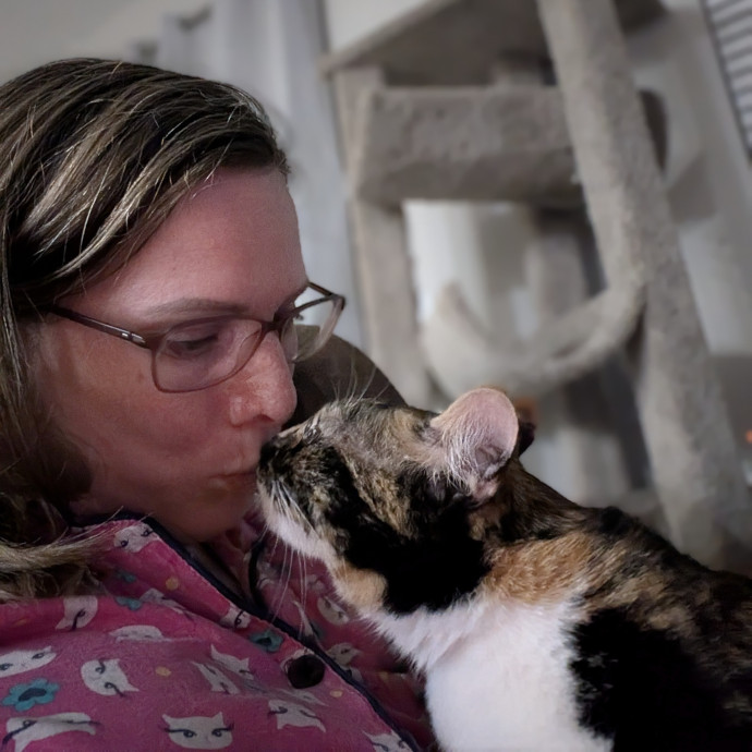 An Honest And Reliable Cat Lover