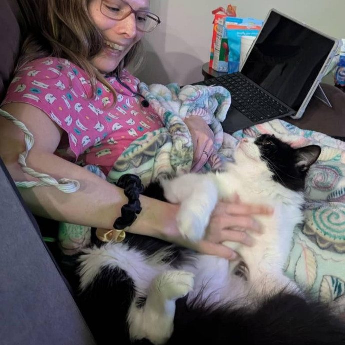 An Honest And Reliable Cat Lover photo 3
