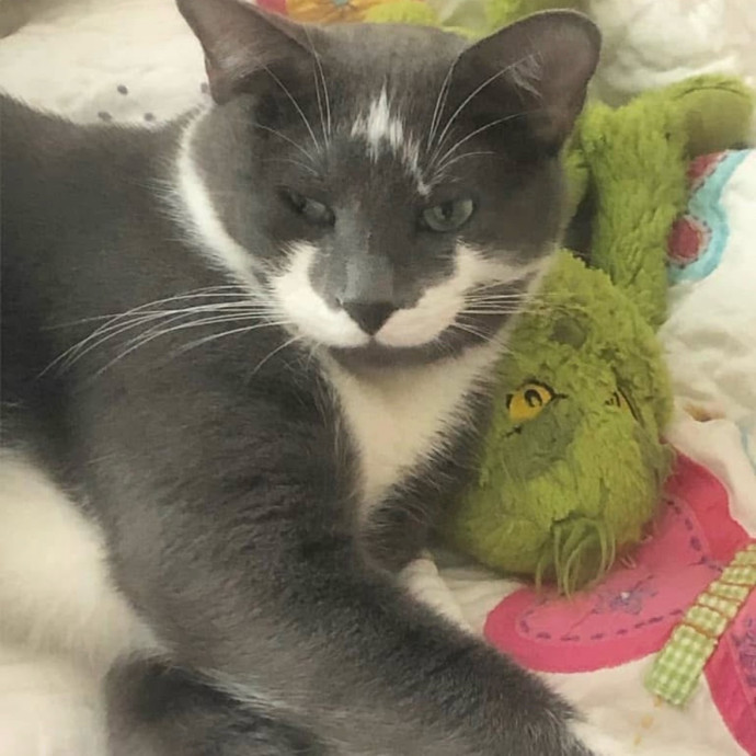 Loving Care For Your Fur Baby