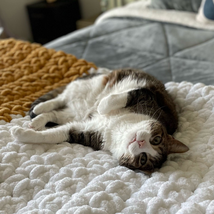 Loving Care For Your Fur Baby photo 2