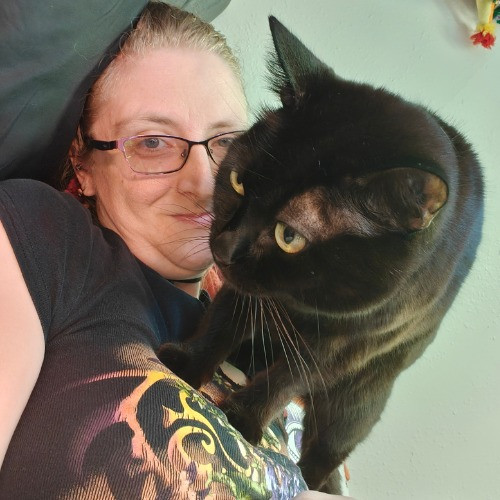 Lucky Black Cat Care Atx