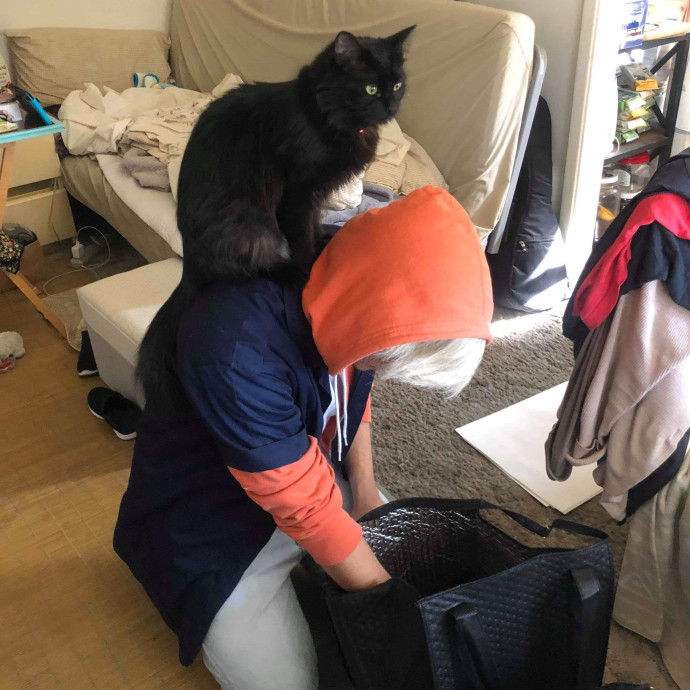 Will Smith Not The Actor Cat Sitting