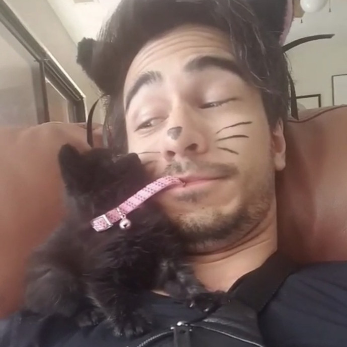 Will Smith Not The Actor Cat Sitting