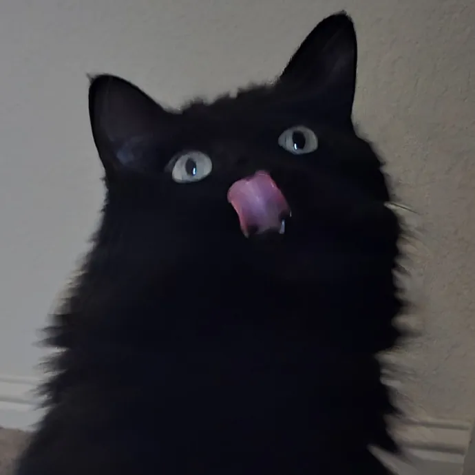 Will Smith Not The Actor Cat Sitting