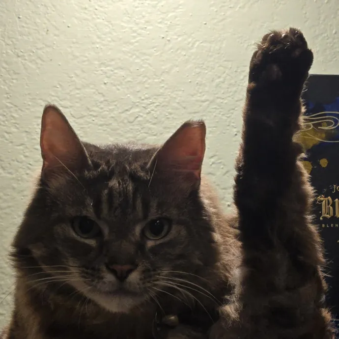 Will Smith Not The Actor Cat Sitting