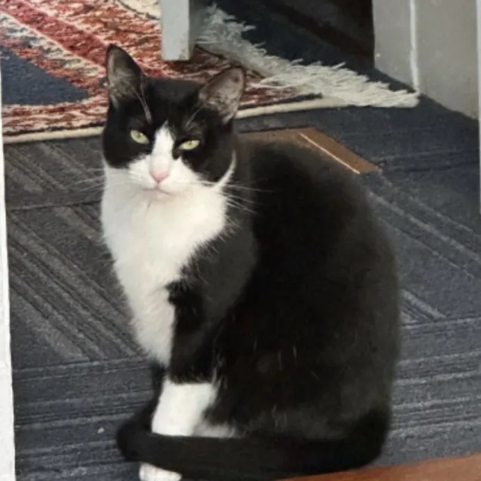 Sophie C.