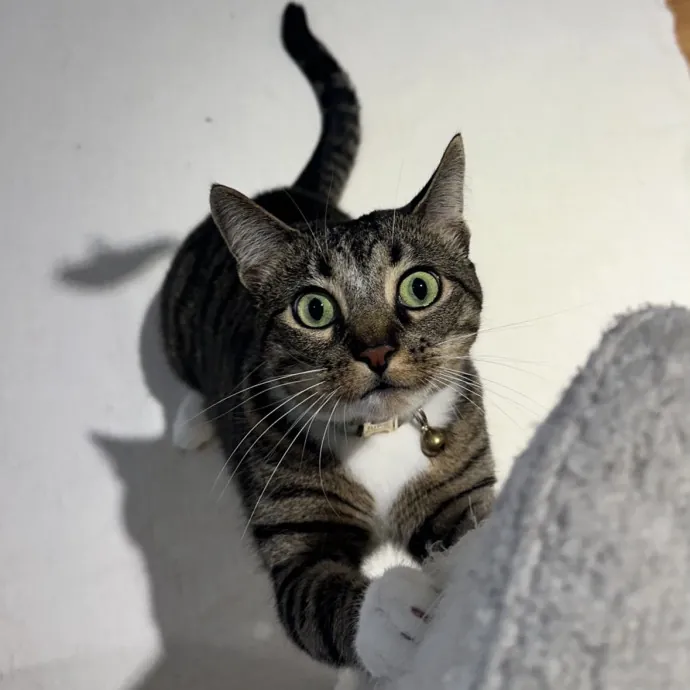 Sophie C.