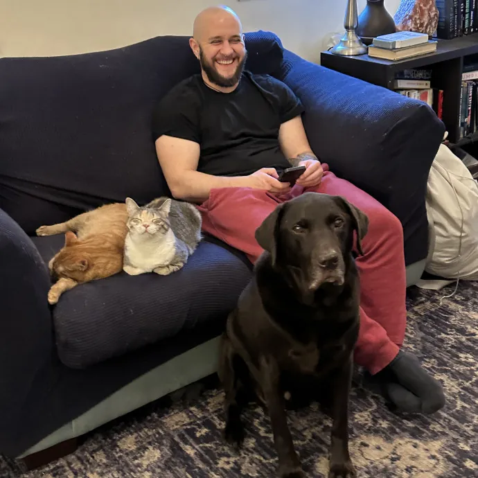 Care For Feline Friends photo 2