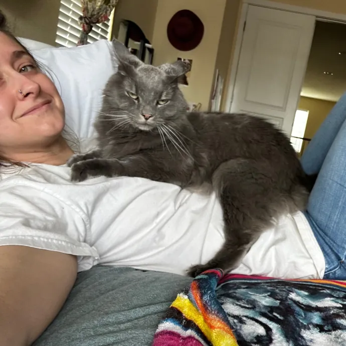 Mind The Whiskers Kitty Sitting