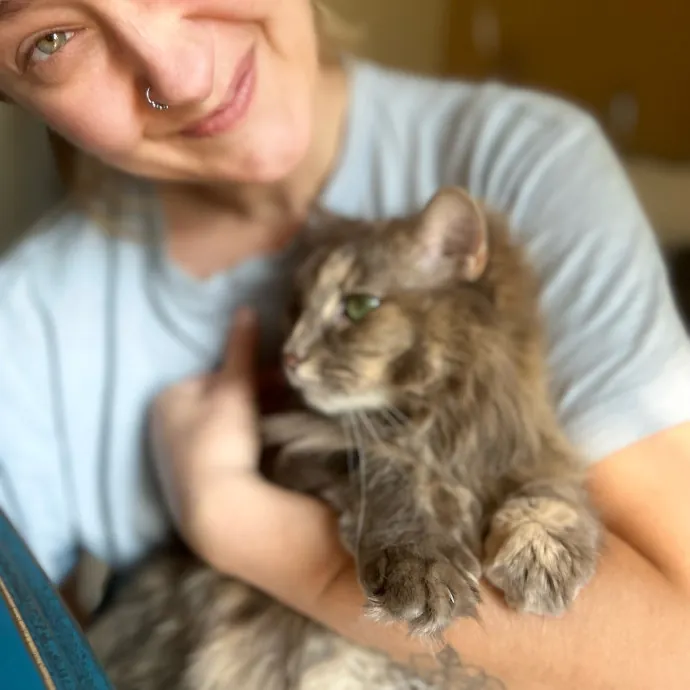 Mind The Whiskers Kitty Sitting photo 3