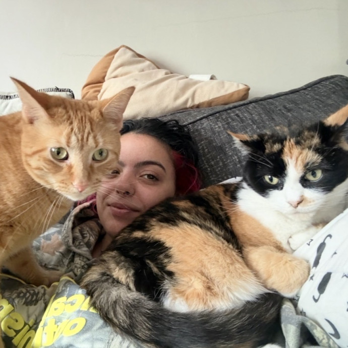 Pawsitively Purrfect Catsitting