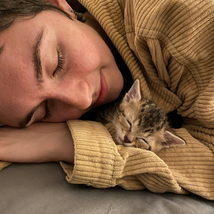 Lifelong Cat Parent
