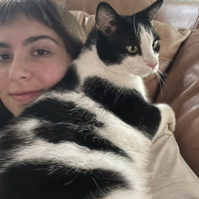 Lifelong Cat Parent