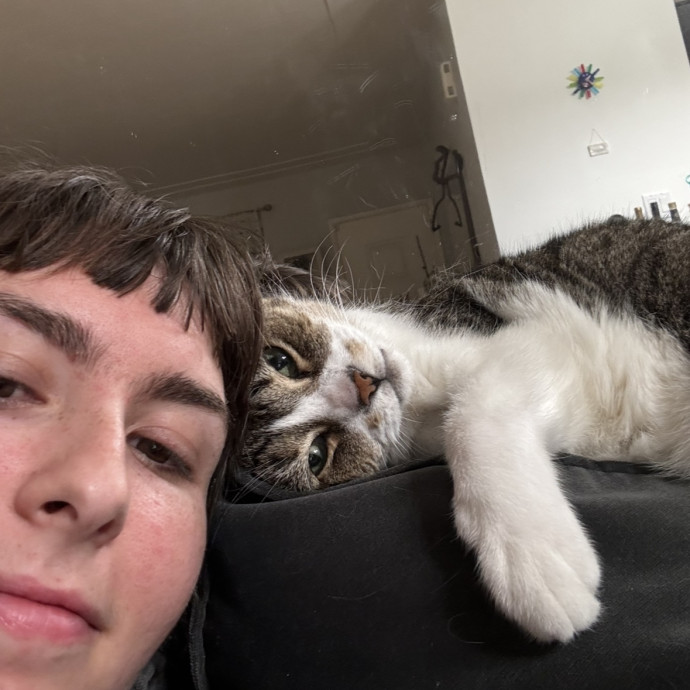 Lifelong Cat Parent