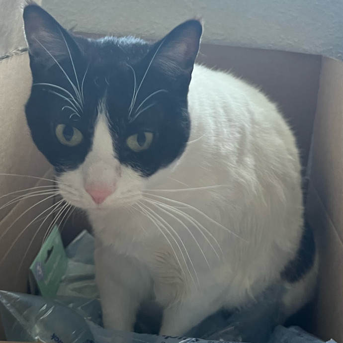 Ella's Excellent Care