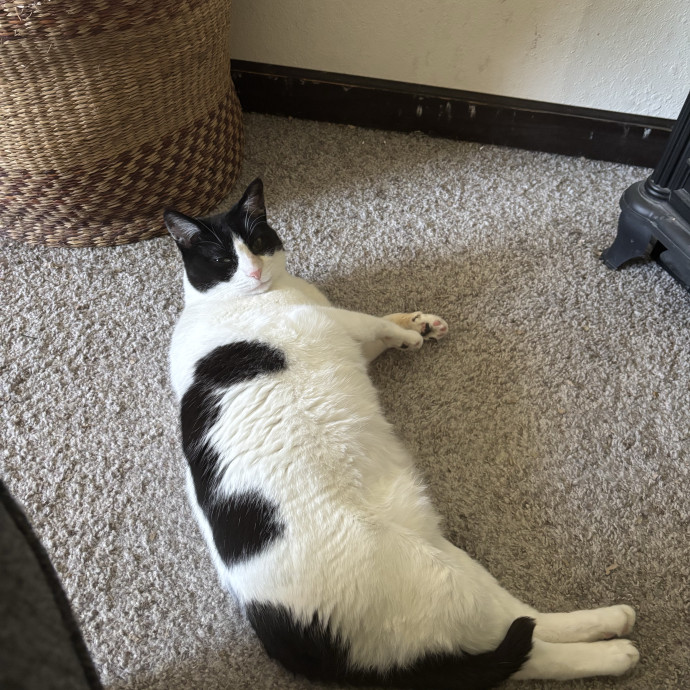 Ella's Excellent Care photo 3