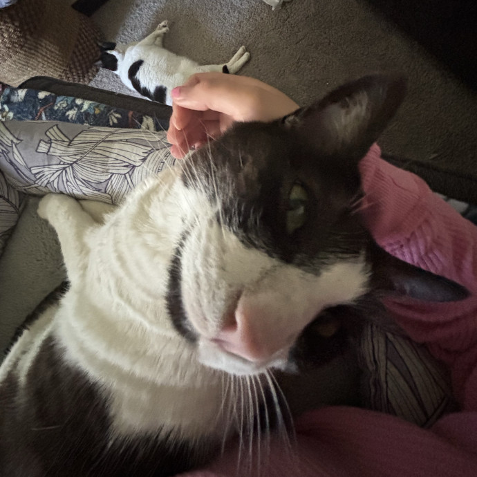 Ella's Excellent Care photo 2