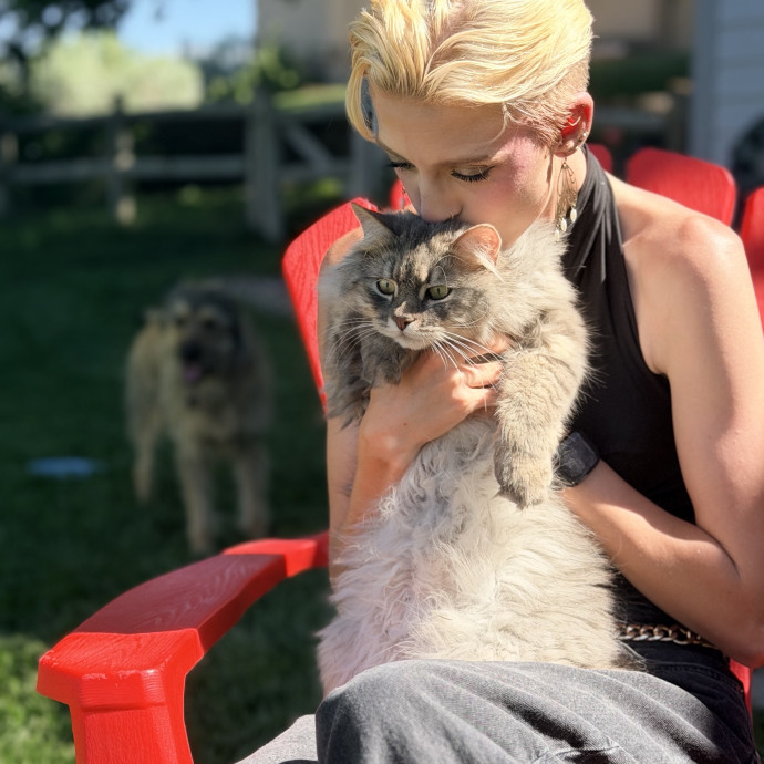 Experienced  Loving Cat Care photo 3