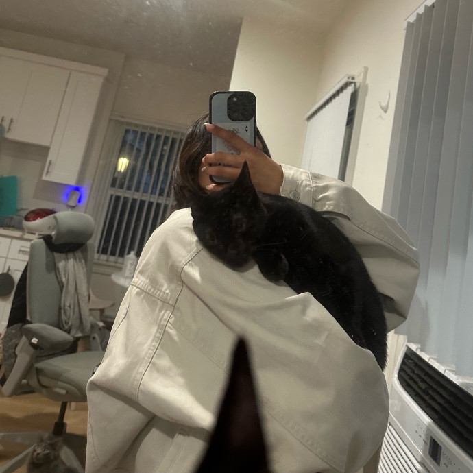 Loving Reliable Cat Sitter - La