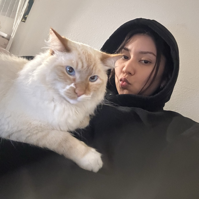 Loving Reliable Cat Sitter - La