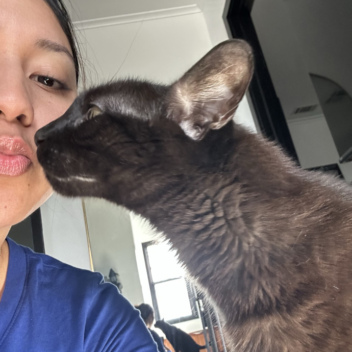 Loving Reliable Cat Sitter - La