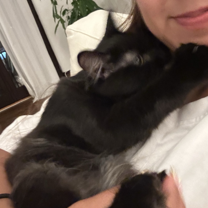 Loving Reliable Cat Sitter - La photo 3