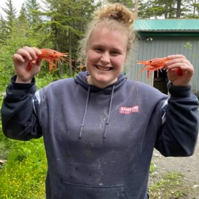 Megan's Purr-Fect Cat Care  10 Years Of Experience photo 2