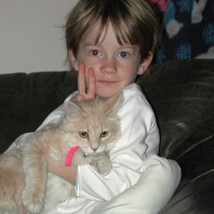 Rockin' Robin's Cat Nest photo 2