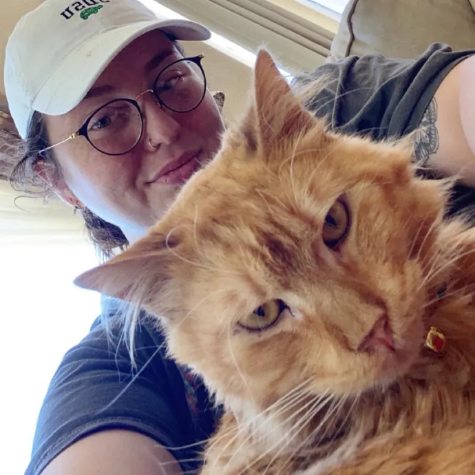 Abby's Feline Friends