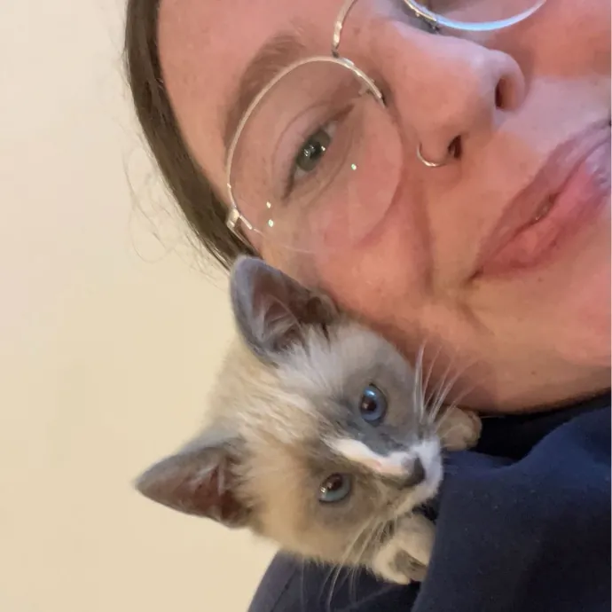 Abby's Feline Friends