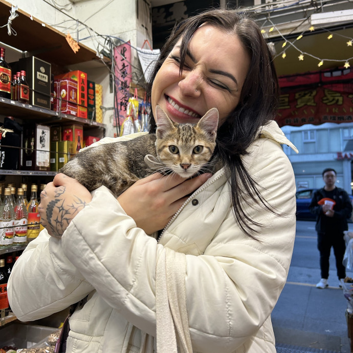 Gentle Reliable Cat Care