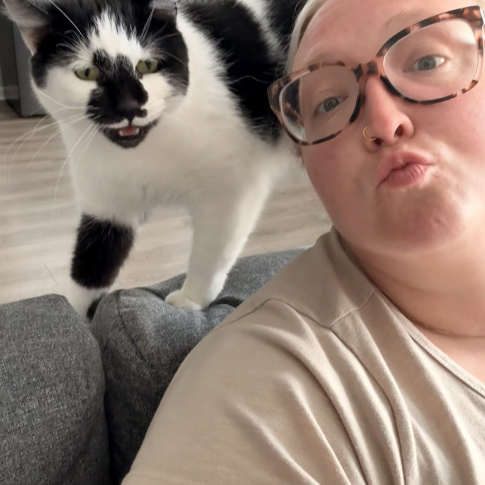 Journey Of A Crazy Cat Lady