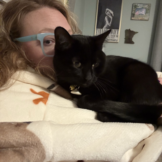 Journey Of A Crazy Cat Lady
