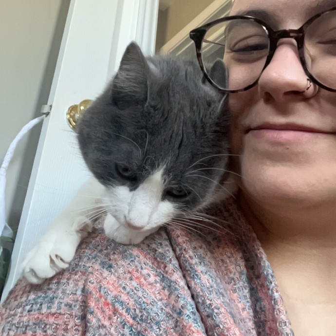 Gabby The Feline Fanatic