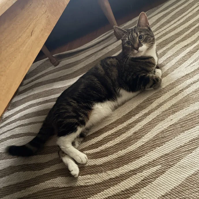 Jessica W.