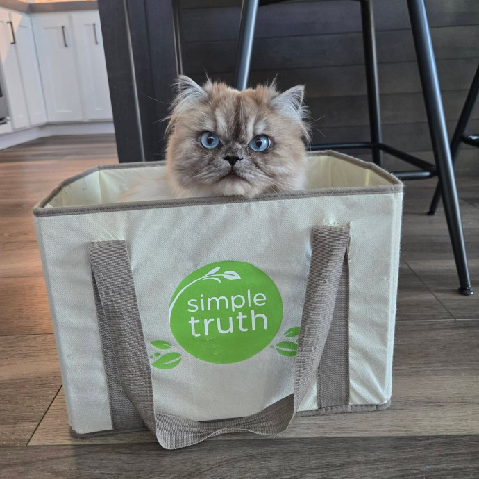 1 Cat Short Of Crazy Petsitting Service