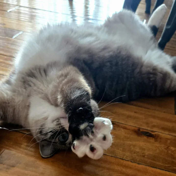 Julie M.