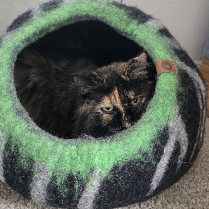 1 Cat Short Of Crazy Petsitting Service