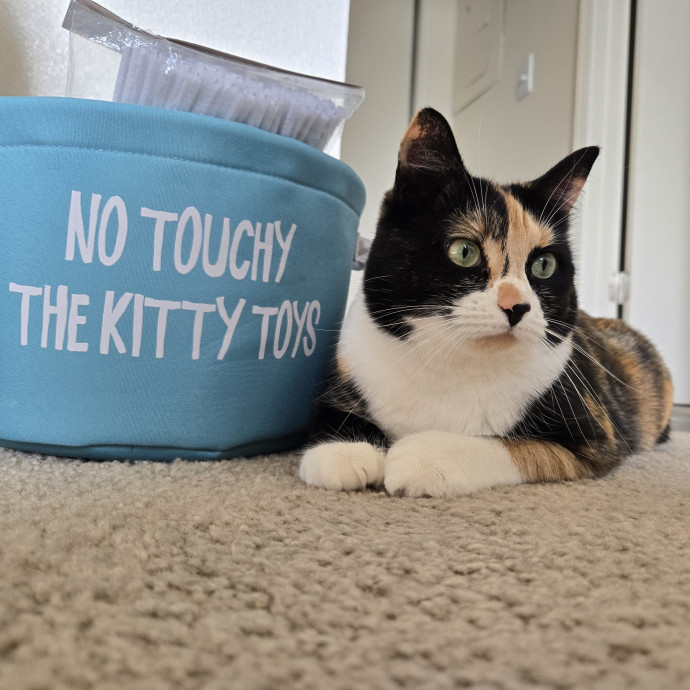 1 Cat Short Of Crazy Petsitting Service