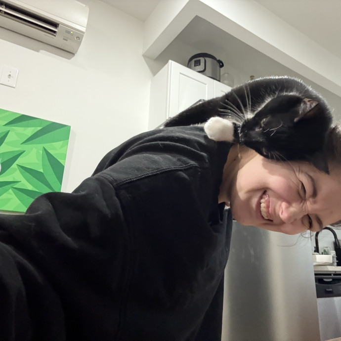 A Cat Sitter For The Worried Cat Parent