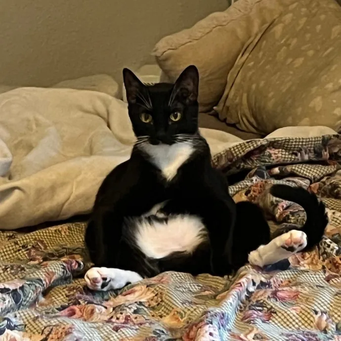 Darcie C.
