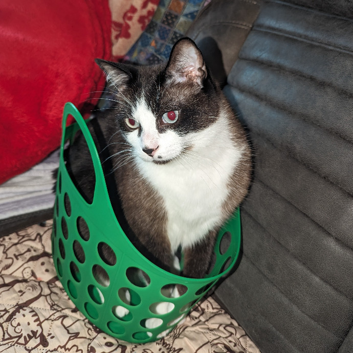 Companion Care