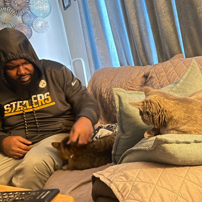 The Purrfect Sitters