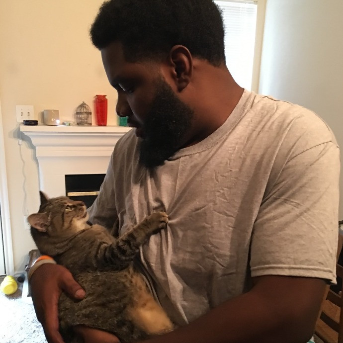 The Purrfect Sitters photo 2