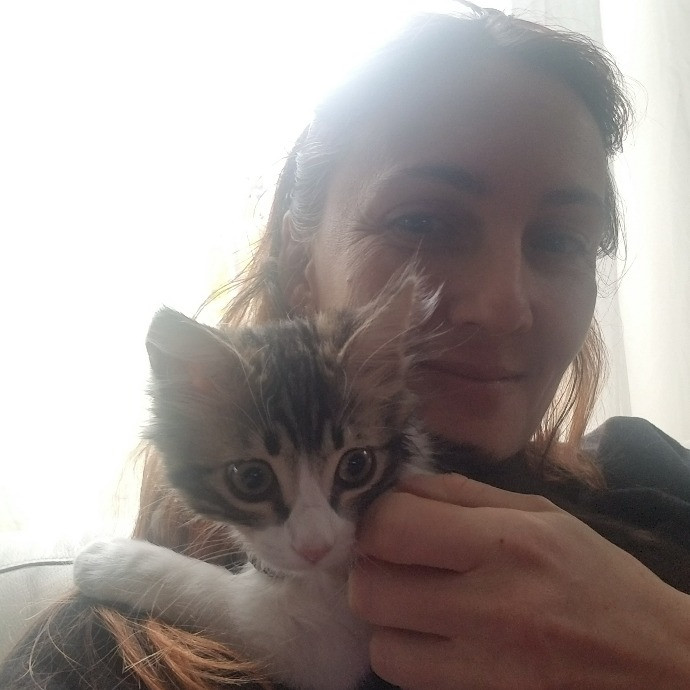 A Loving And Dependable Cat Sitter