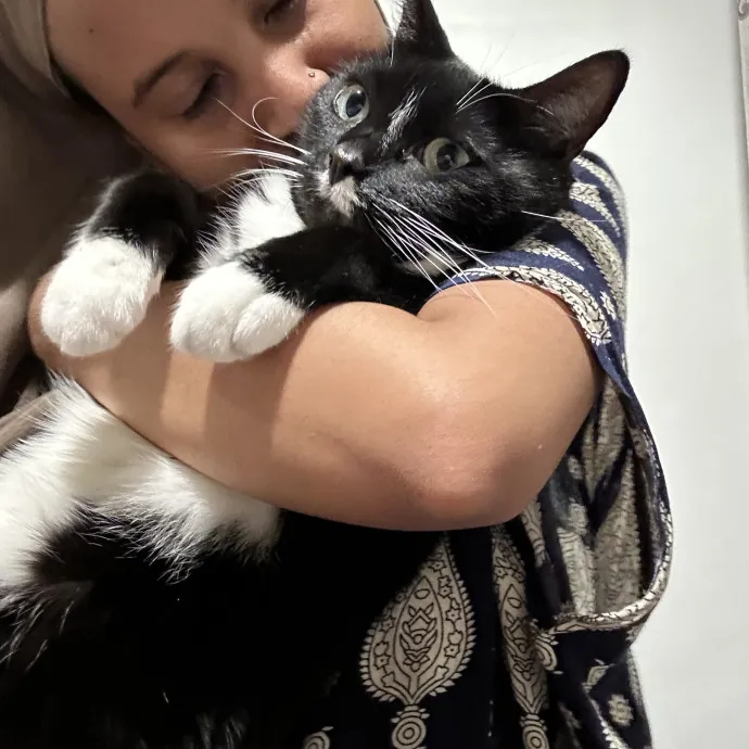 Meow There - Enthusiast Cat Sitter Here photo 2
