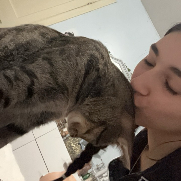 Bri's Kitty Haven