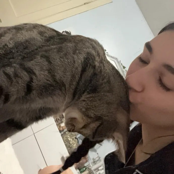Bri's Kitty Haven