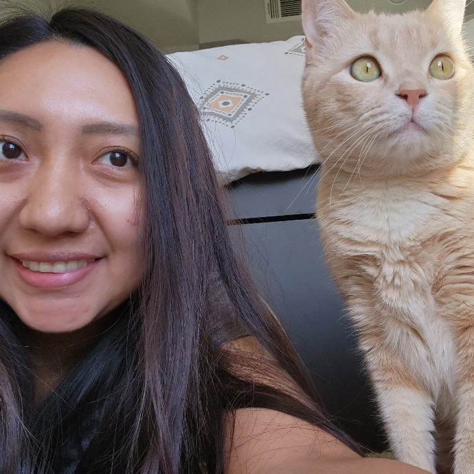 Purrs Play Care By Jessica